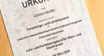 Buy Universität Hohenheim Urkunde online