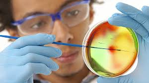 Technologist In Molecular Biology (MB(ASCP))